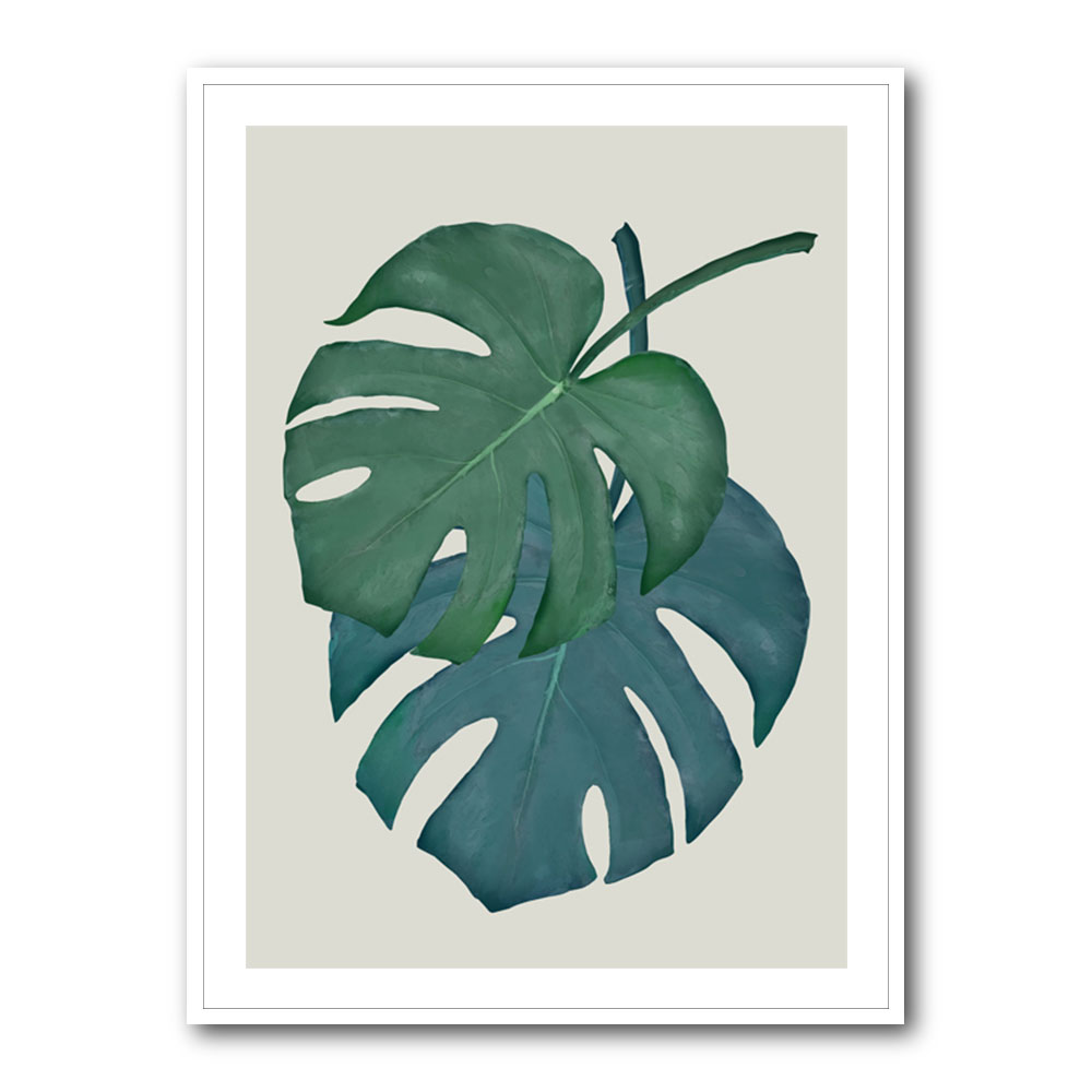 Monstera Aqua 06