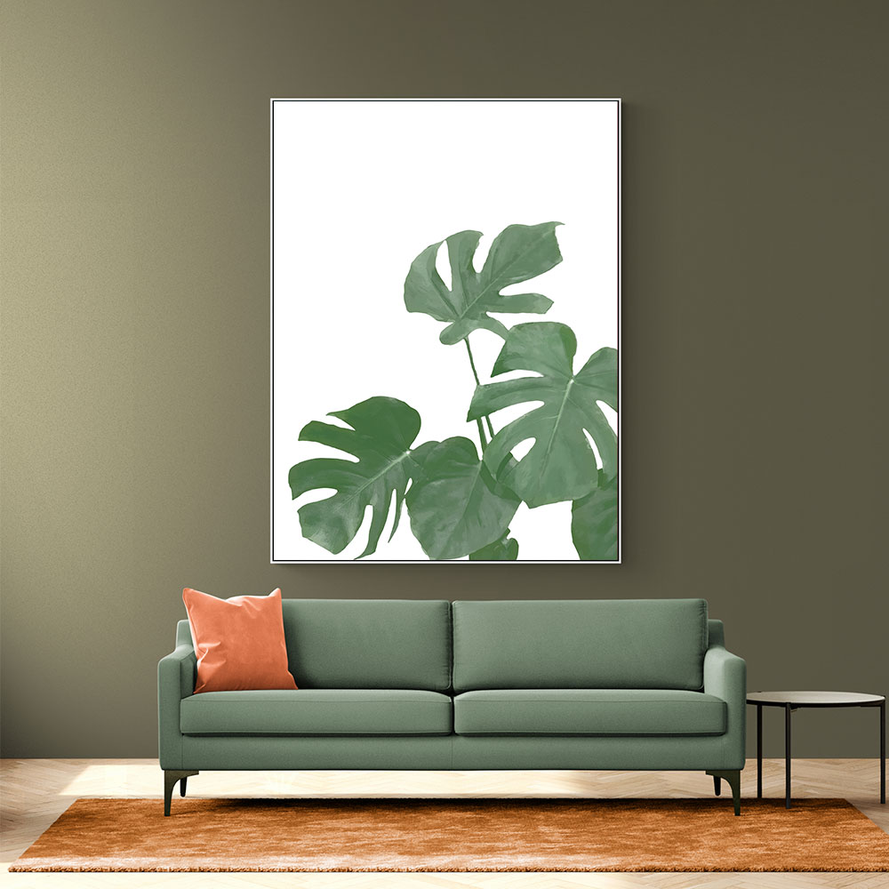 Monstera Aqua 04