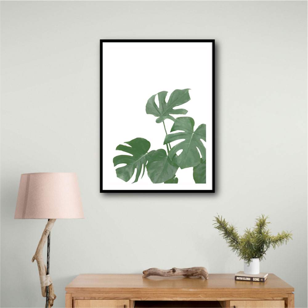 Monstera Aqua 04