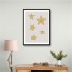 Stars Stars