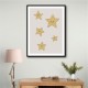 Stars Stars