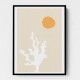 Choose Product Type:: Framed Canvas Seaweed in the Sun