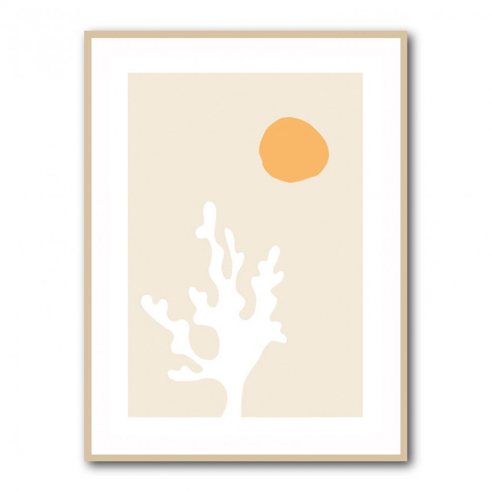 Seaweed in the Sun Seaweed in the Sun