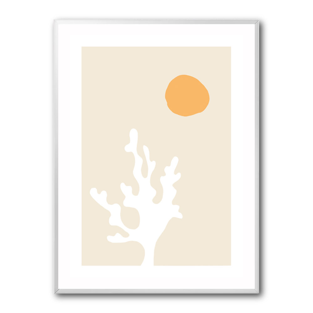 Seaweed in the Sun Seaweed in the Sun