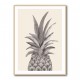 Ink Pineapple Ink Pineapple