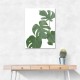 Monstera Aqua 03