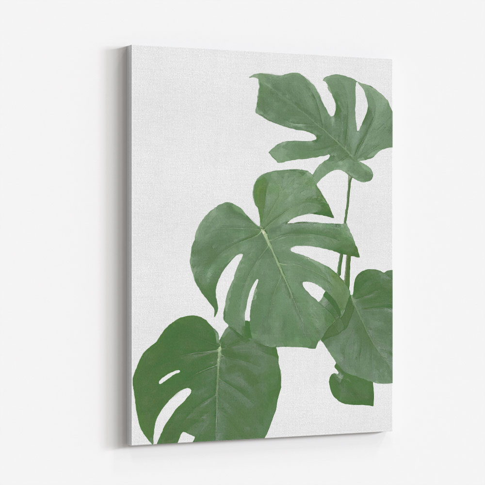 Monstera Aqua 03