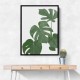 Monstera Aqua 03