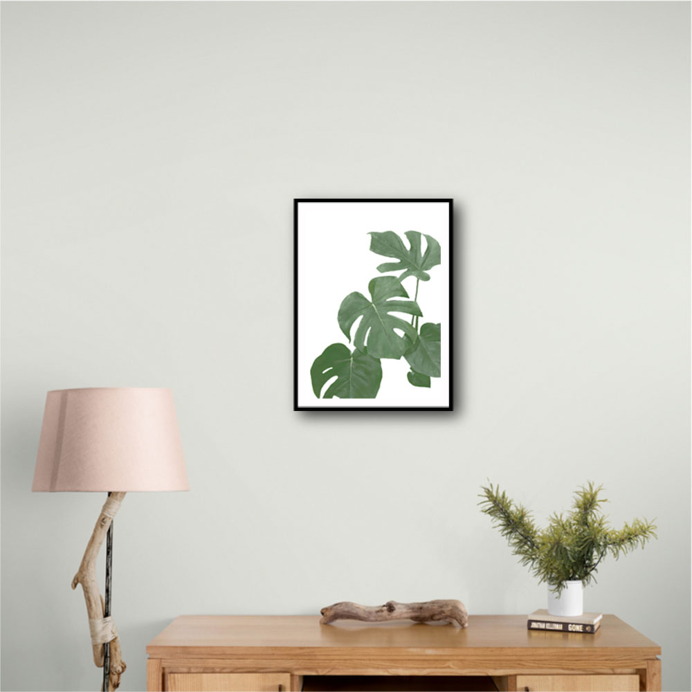 Monstera Aqua 03