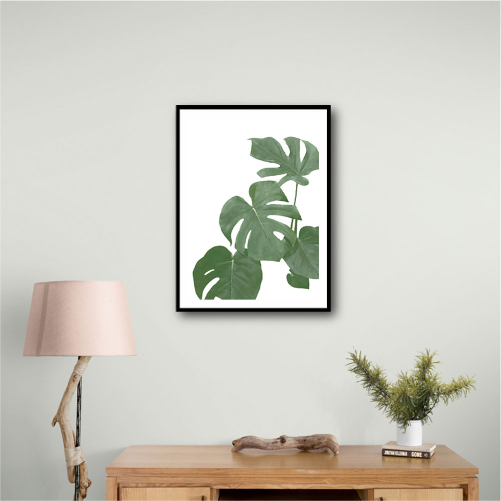 Monstera Aqua 03