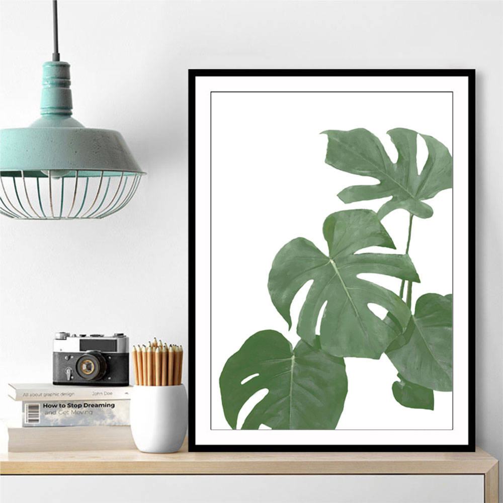 Monstera Aqua 03