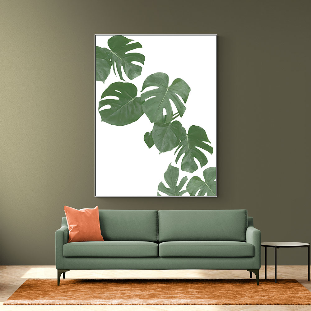 Monstera Aqua 02