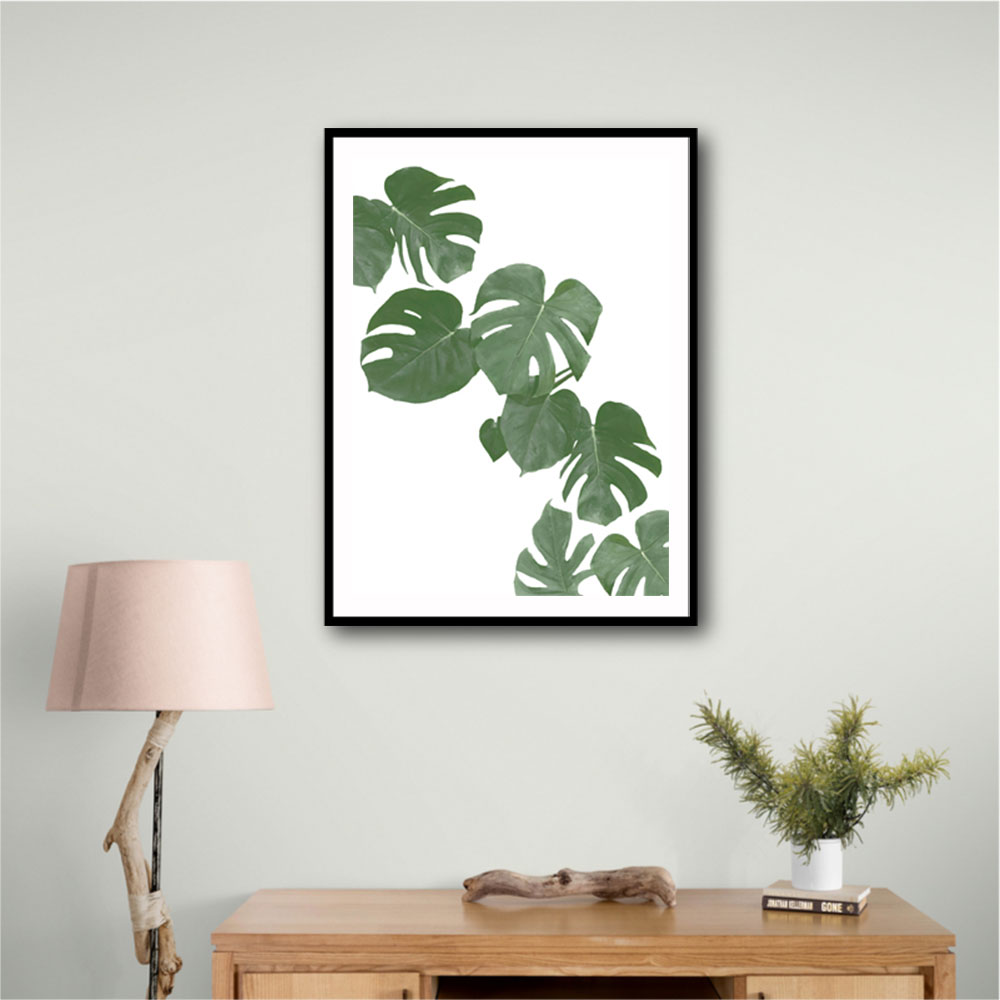 Monstera Aqua 02