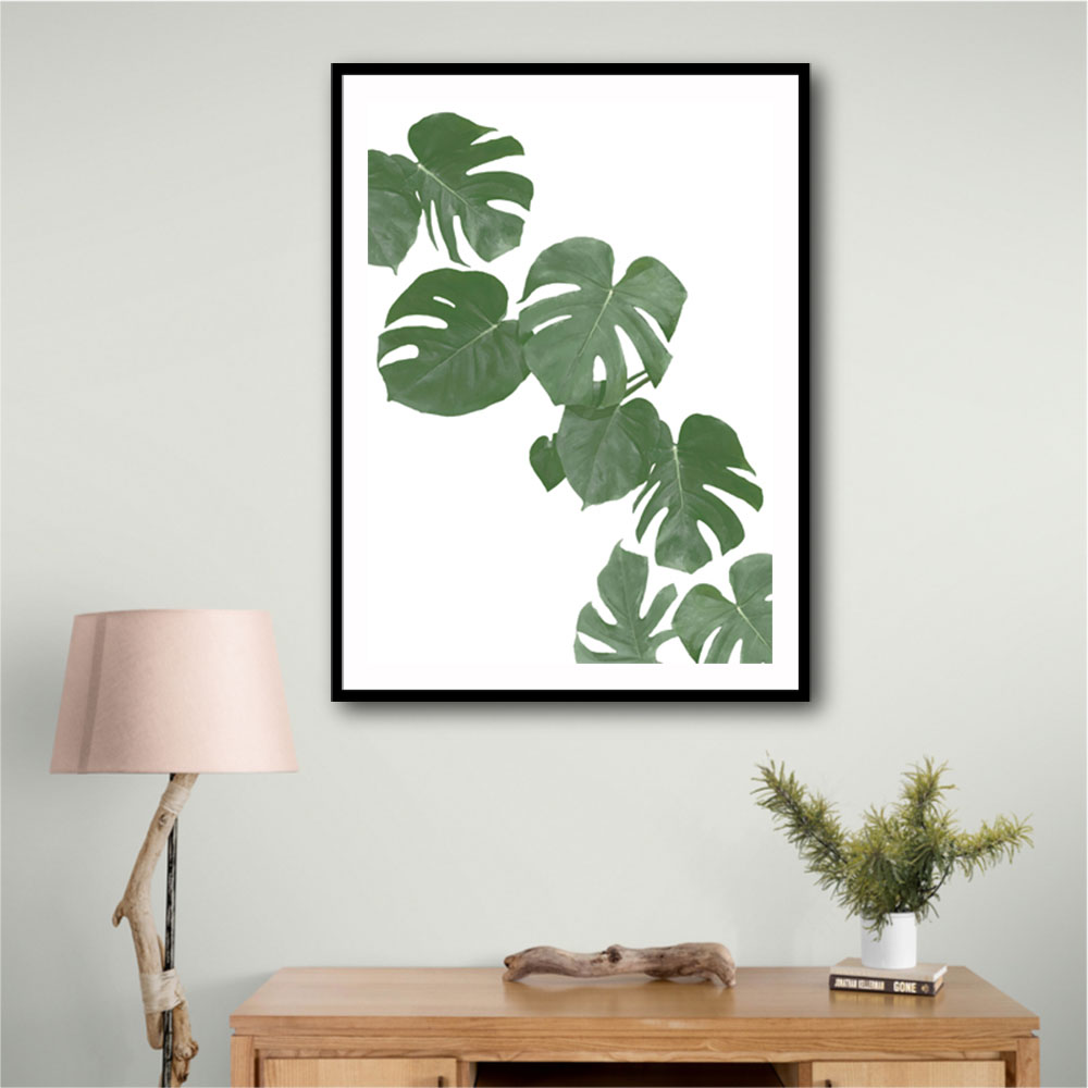 Monstera Aqua 02