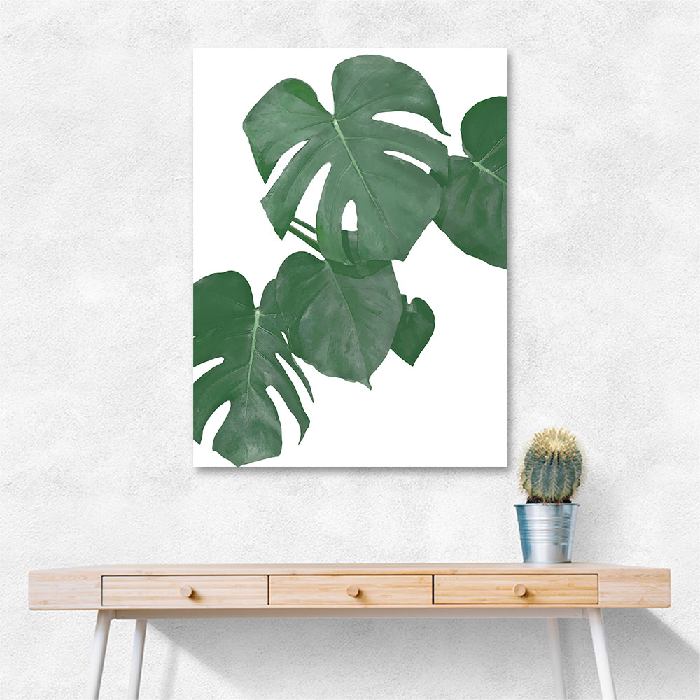 Monstera Aqua 01