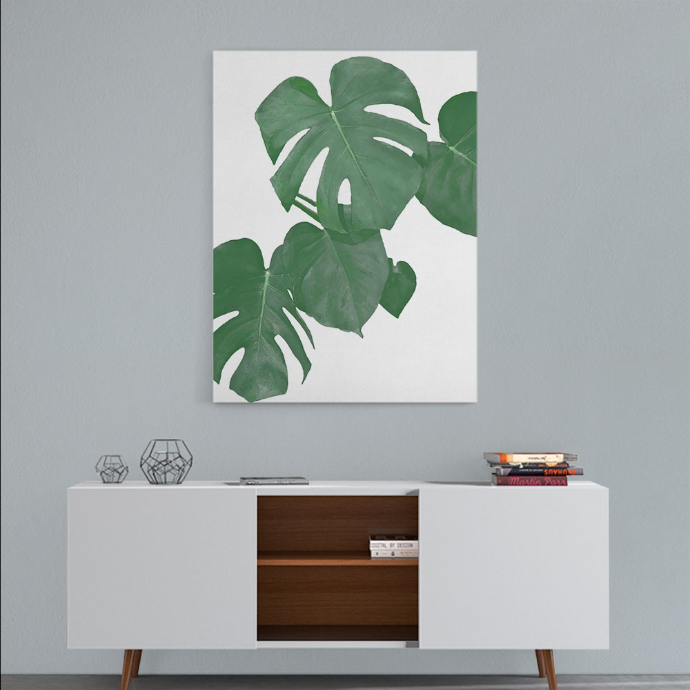 Monstera Aqua 01