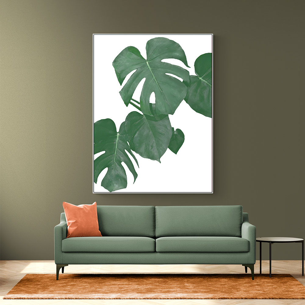 Monstera Aqua 01