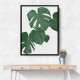 Monstera Aqua 01