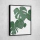 Monstera Aqua 01