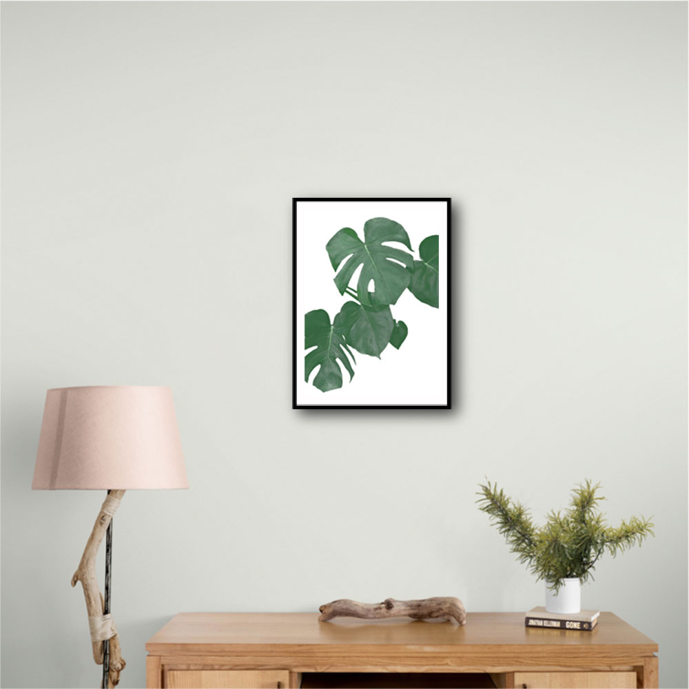 Monstera Aqua 01