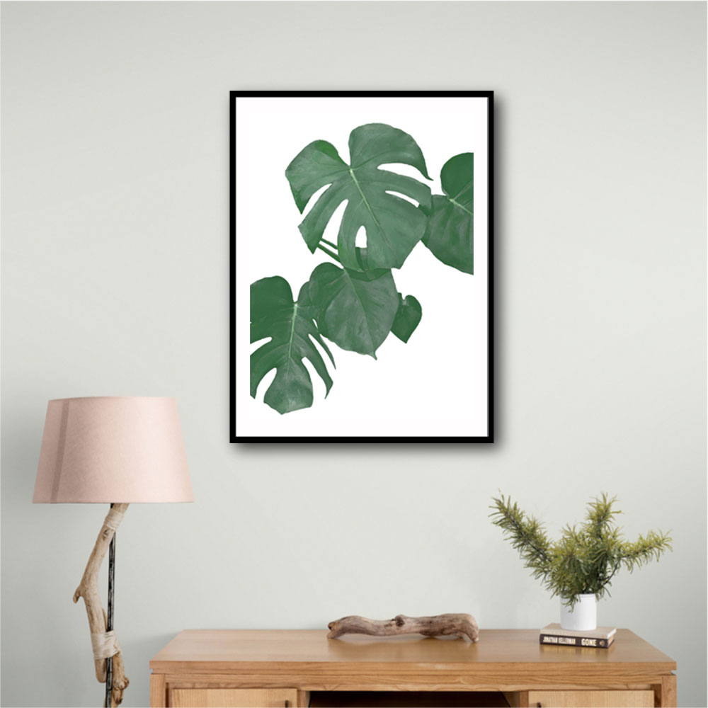 Monstera Aqua 01