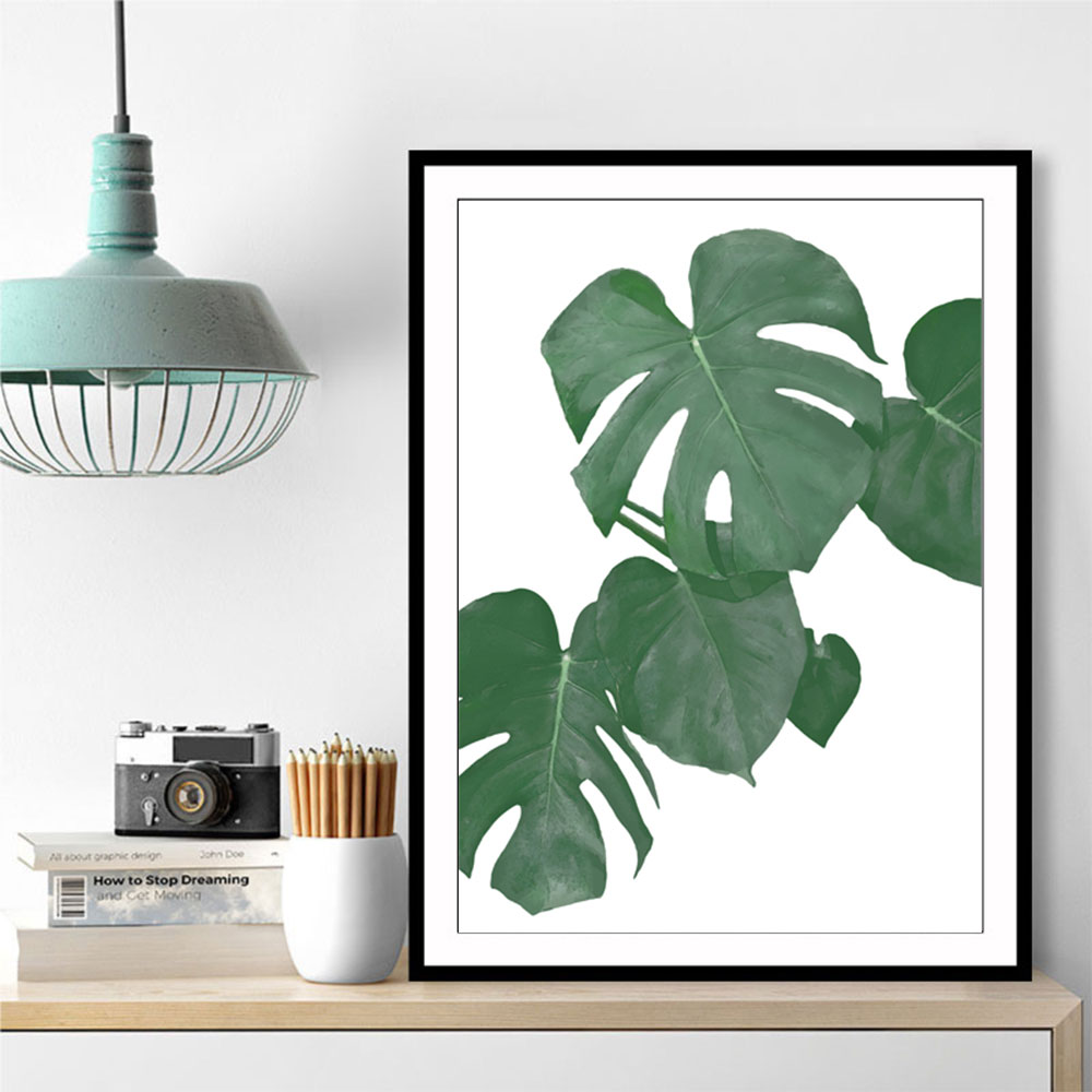 Monstera Aqua 01