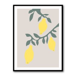 Lemons