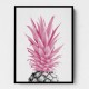 Pineapple Pink 3 Pineapple Pink 3