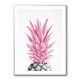 Pineapple Pink 3 Pineapple Pink 3