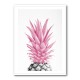 Pineapple Pink 3 Pineapple Pink 3