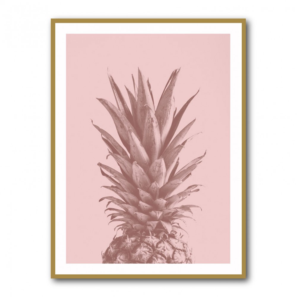 Pinapple Pink 05 Pinapple Pink 05