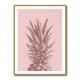 Pinapple Pink 05