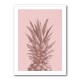 Pinapple Pink 05