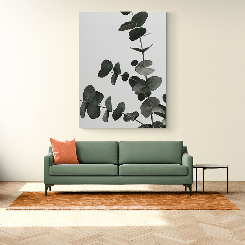 Eucalyptus Natural 05 Eucalyptus Natural 05