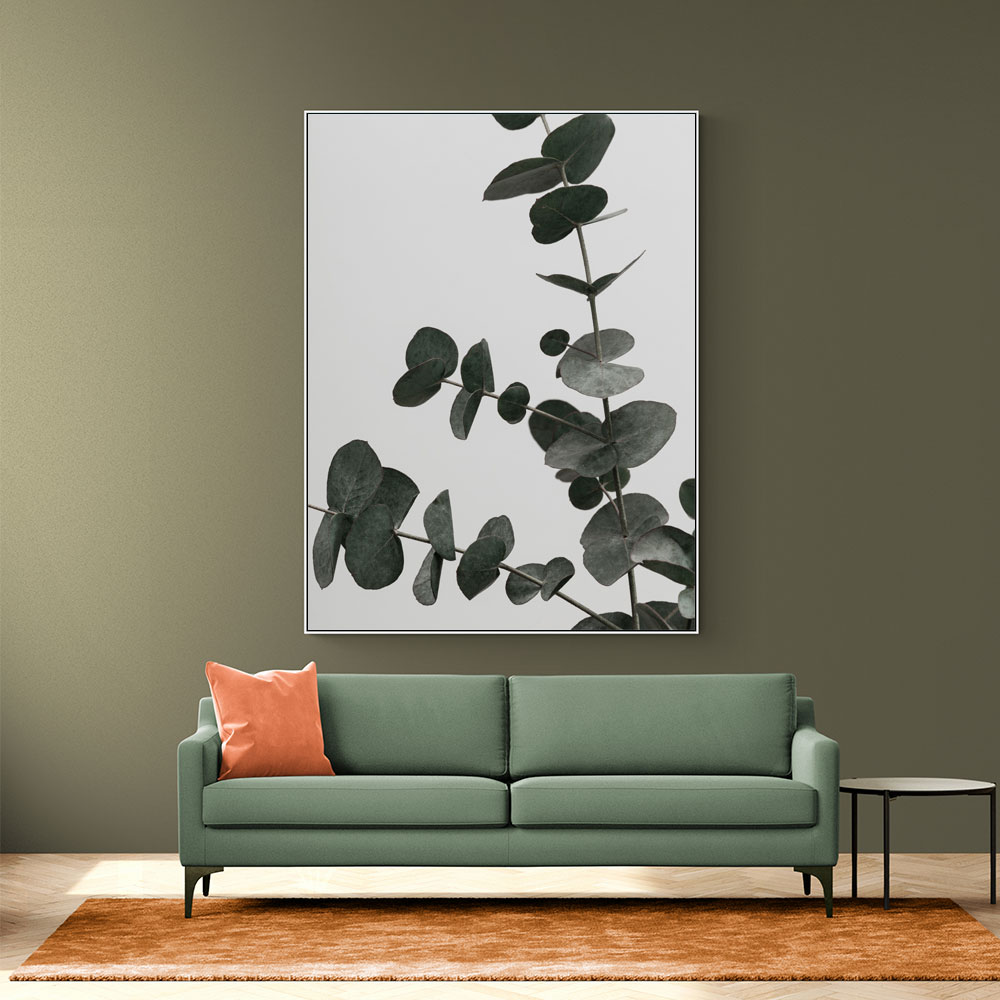 Eucalyptus Natural 05 Eucalyptus Natural 05