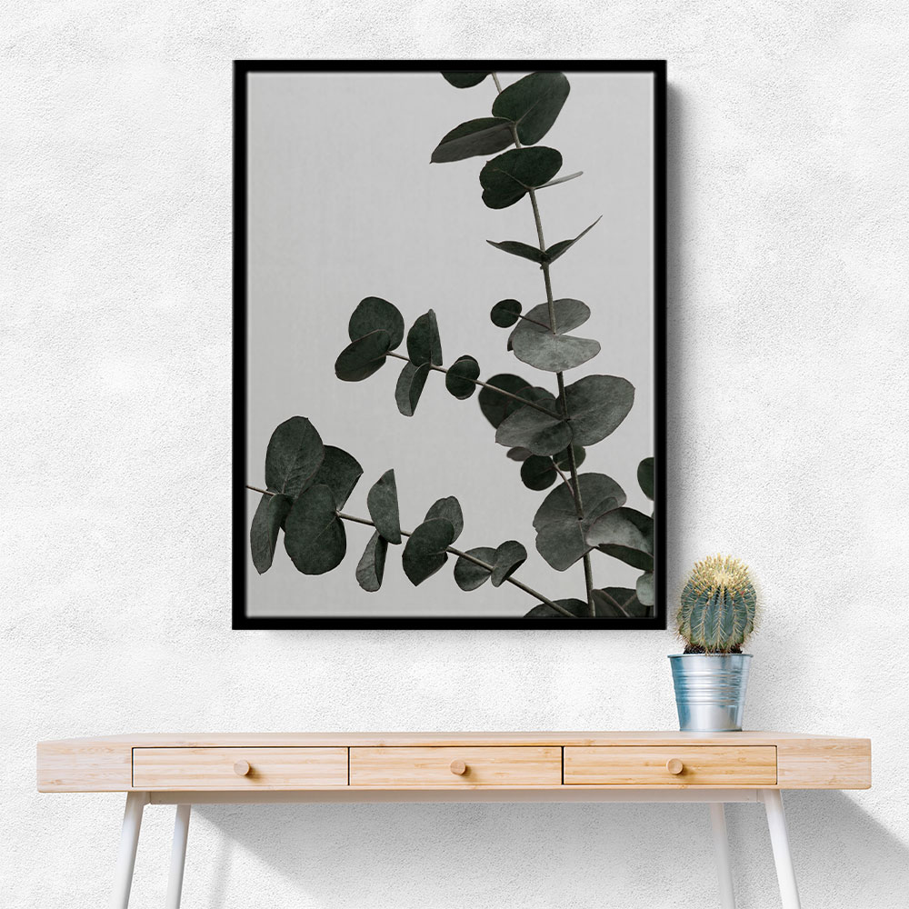 Eucalyptus Natural 05 Eucalyptus Natural 05
