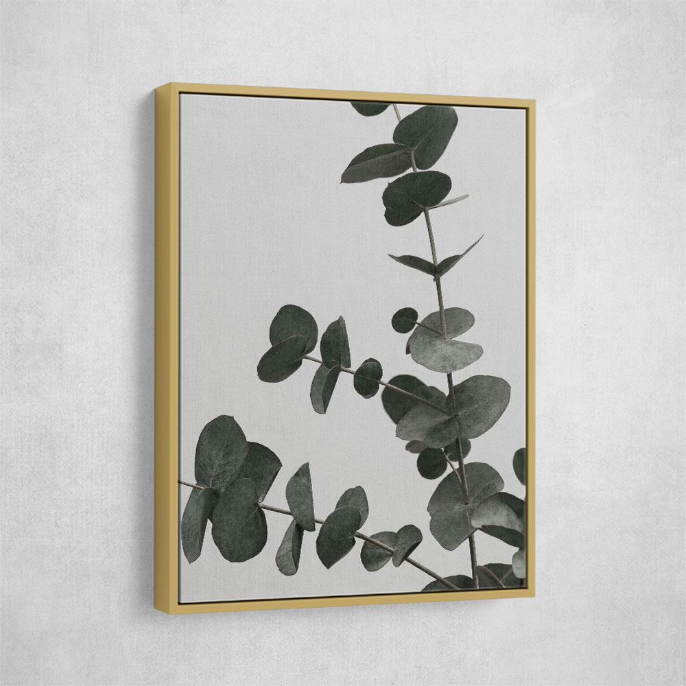 Eucalyptus Natural 05 Eucalyptus Natural 05