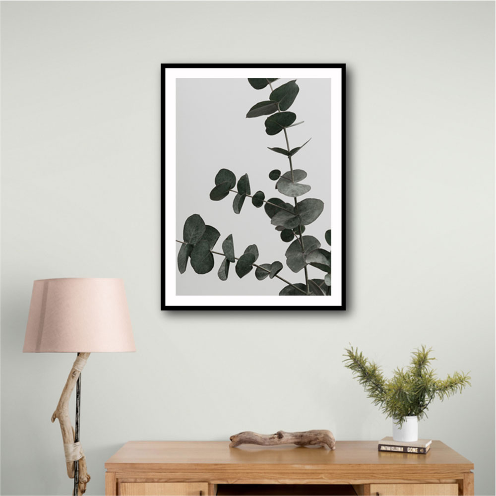 Eucalyptus Natural 05 Eucalyptus Natural 05