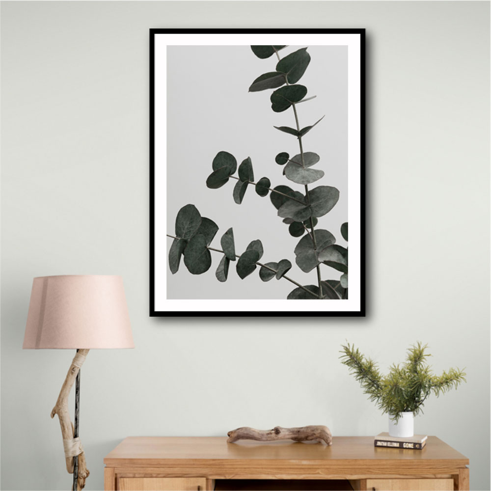 Eucalyptus Natural 05 Eucalyptus Natural 05