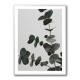 Eucalyptus Natural 05 Eucalyptus Natural 05