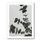 Eucalyptus Natural 05 Eucalyptus Natural 05