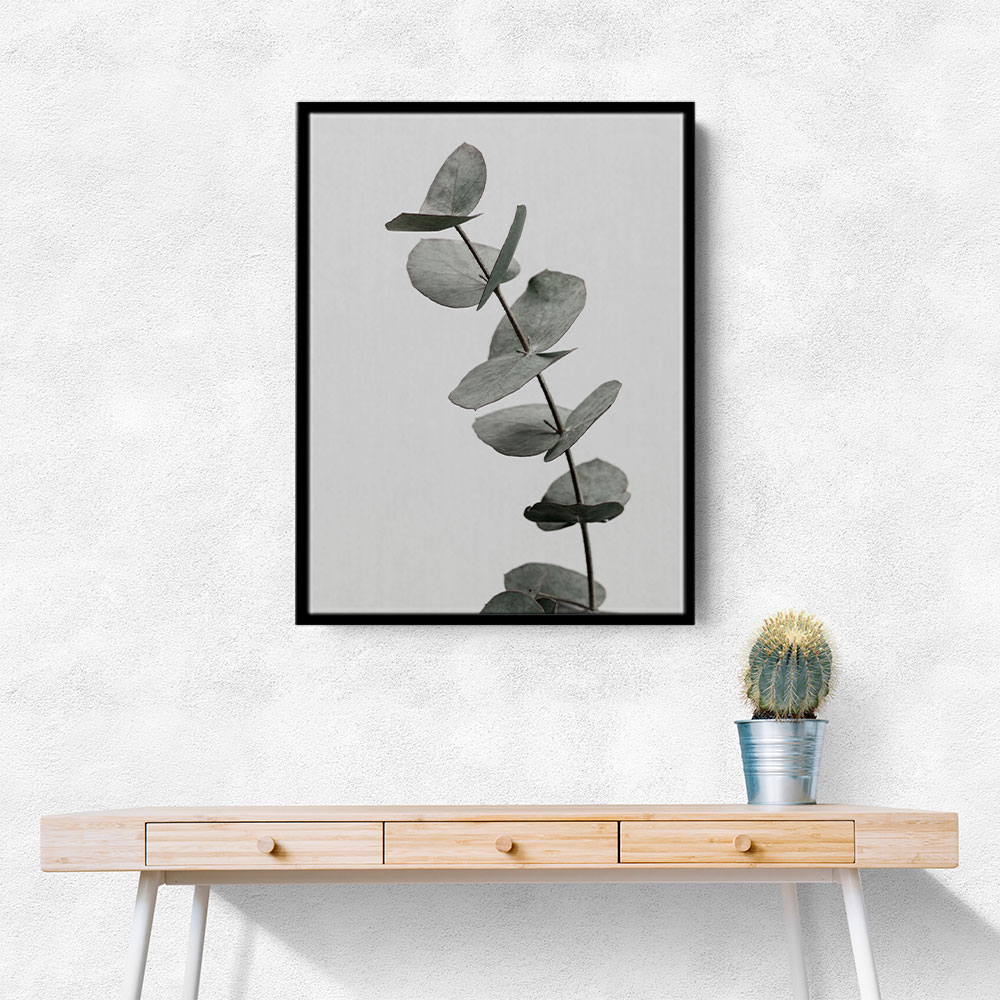 Eucalyptus Natural 06 Eucalyptus Natural 06