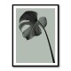 Monstera Teal 02 Monstera Teal 02