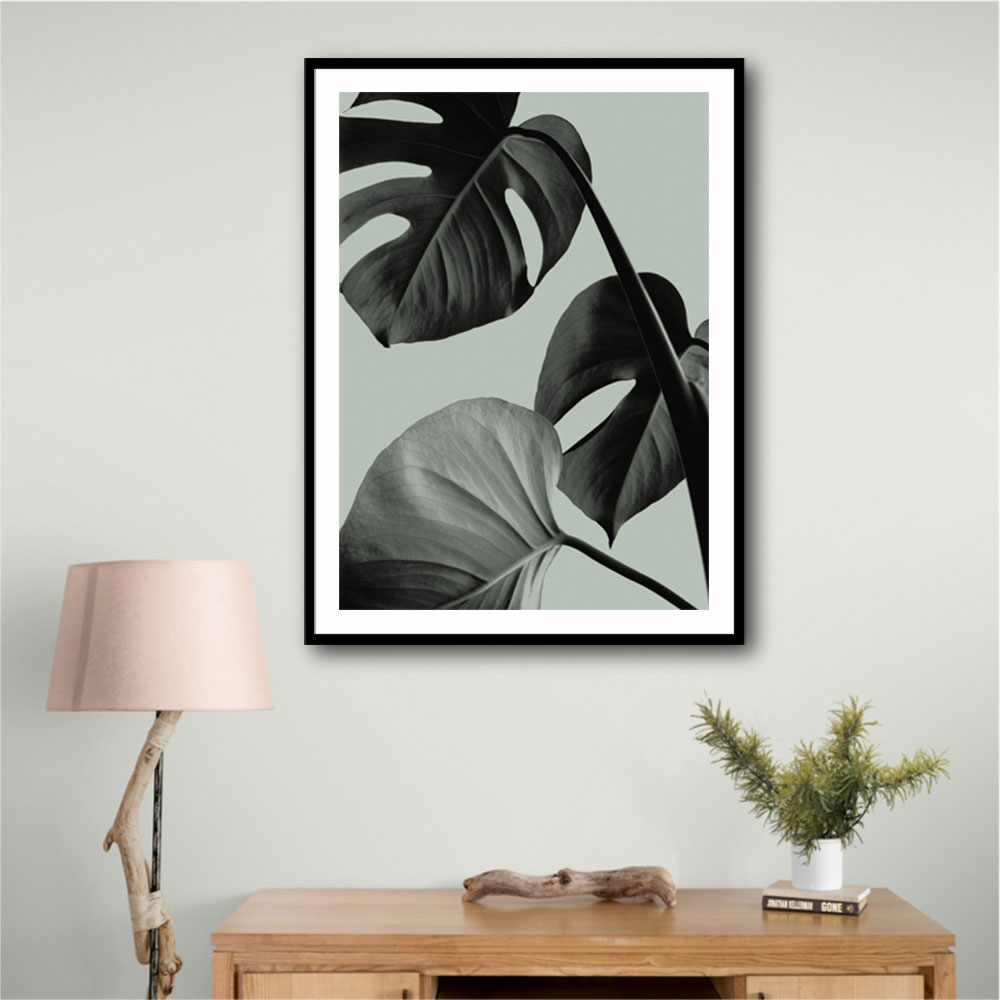 Monstera Teal 07