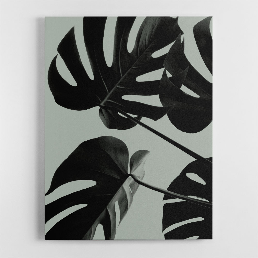 Monstera Teal 08