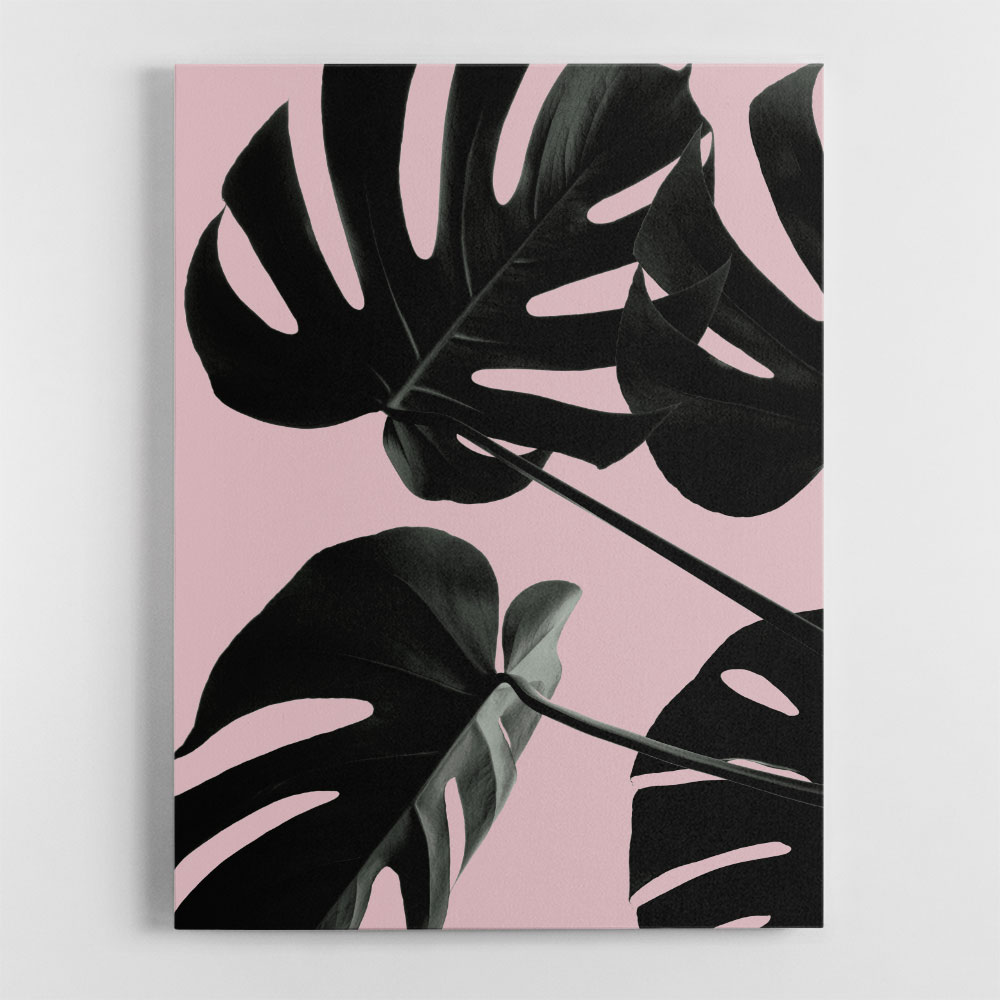 Monstera Pink No 01