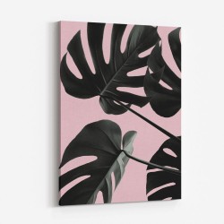 Monstera Pink No 01