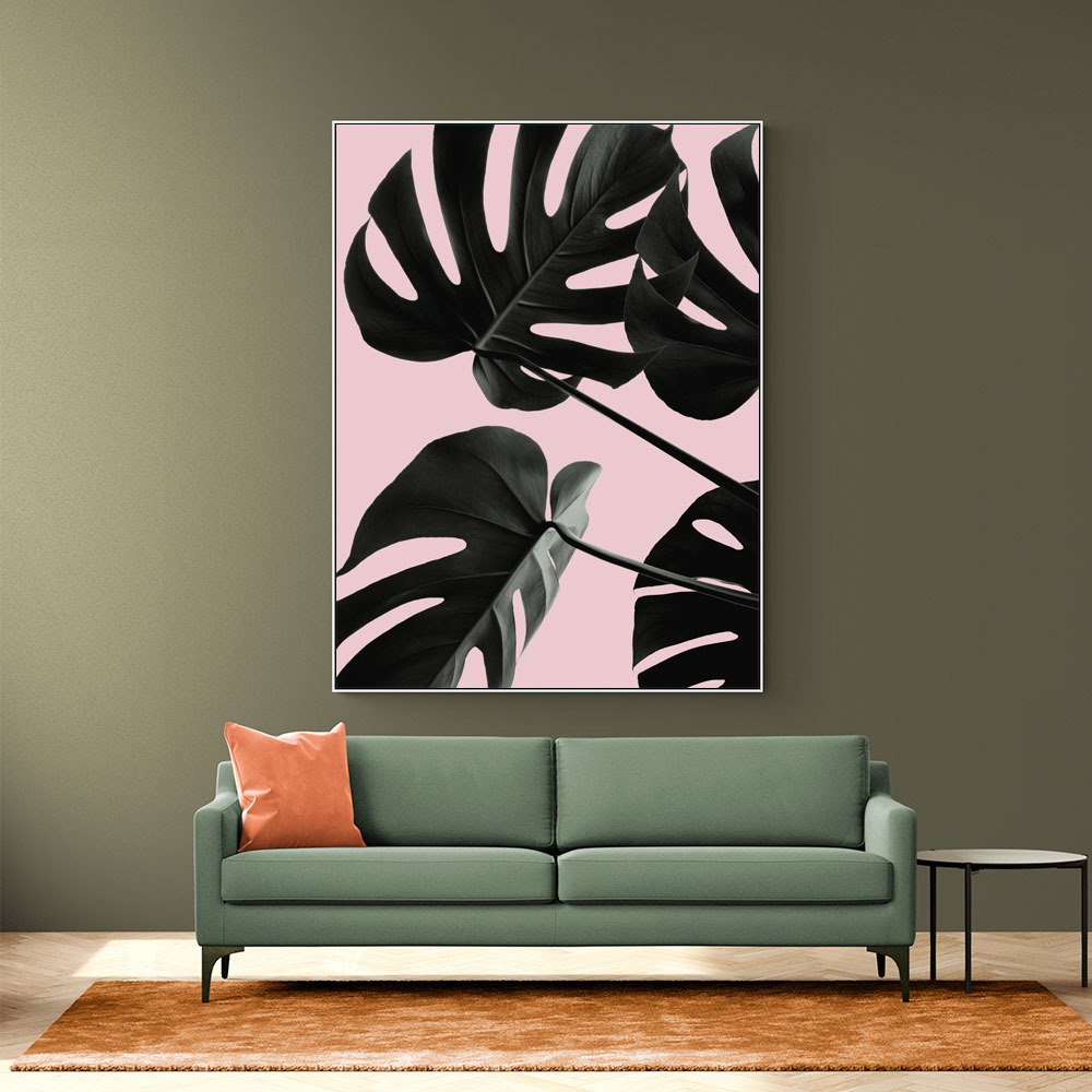 Monstera Pink No 01