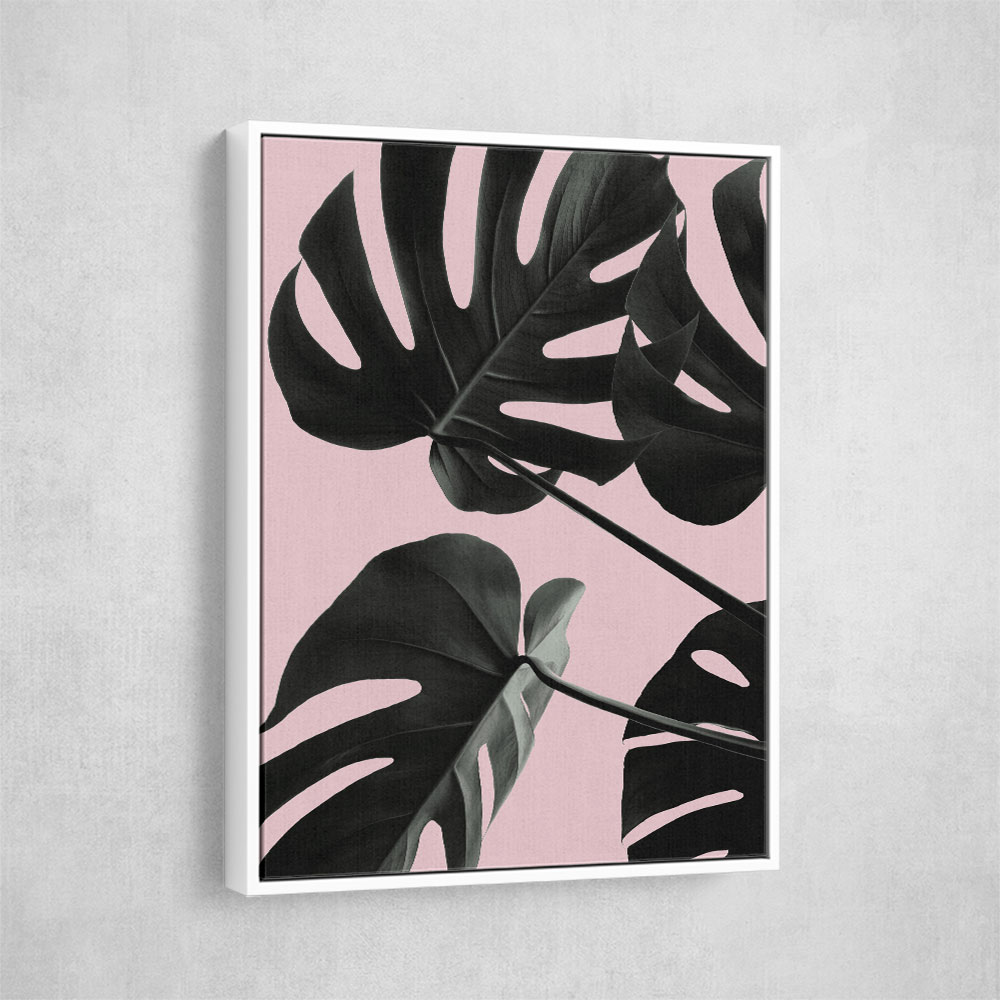 Monstera Pink No 01