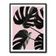 Monstera Pink No 01